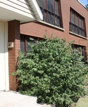 Lansdale Village Apartments image 6
