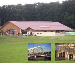 WYLI HOLZ AG Bild 4