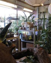 Blumen Schenk Bild 7