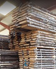 Cagnacci Ets image 1