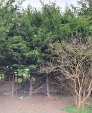 Le jardin de Paul image 3