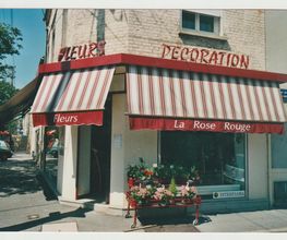 La Rose Rouge image 18