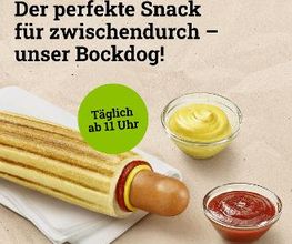 Aral Bild 2