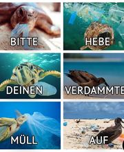 Tierarztpraxis Ullmann Bild 2