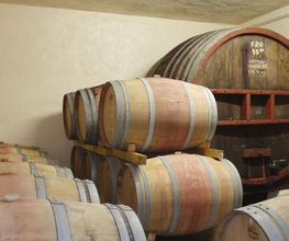 Domaine Martin image 16