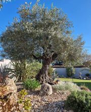 SARLU ROYAN AMENAGEMENT image 4