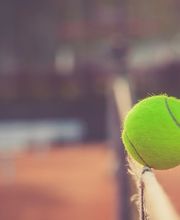 Racketsportcenter Wilderswil Bild 2