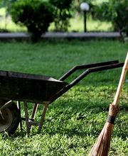 Dietz Gartenbau GmbH Bild 1