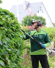 Hecke Pflegeschnitt.JPG