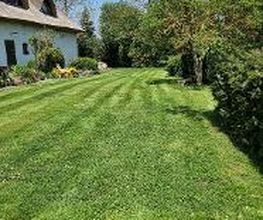 Der Gartenhelfer Bild 2