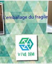 Viva Dem image 3