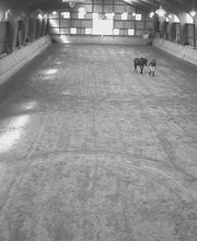 Centre Equestre de Crézancy image 8