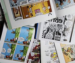 Librairie Vauban image 4