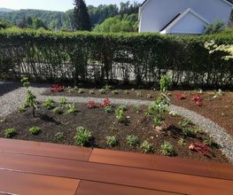 Bison Gartenbau AG Bild 5
