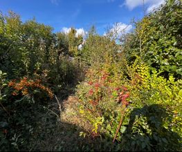 IMG_3968.jpeg