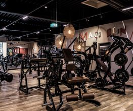 Fitness First Mannheim Neckarau - Plate-loaded Machines