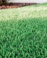 Nature's Turf image 3