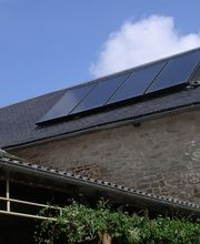 Cavaillé Izard image 5