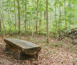 Bänke an den Waldwegen laden zum Verweilen im FriedWald Grevesmühlen ein.
