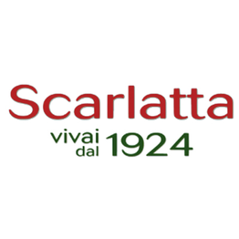 Centro Piante Scarlatta dal 1924 logo