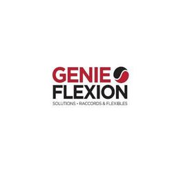 GENIE FLEXION 14 CAEN
