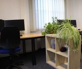 2 Arbeitsplätze mit jeweils 2 Bildschirmen und einem Bürostuhl. Dazwischen ein Regal mit mehreren Pflanzen
