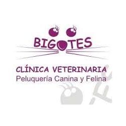logoclinicabigotes.jpg