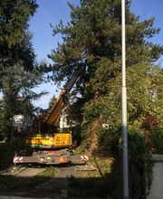 Gebrüder Straumann AG Bild 11