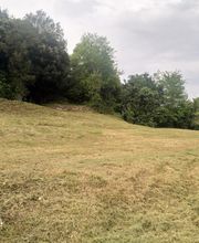 ATBJ terrasse bois et jardin image 6