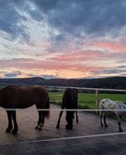 ImGEx GmbH & Co. KG Bild 9