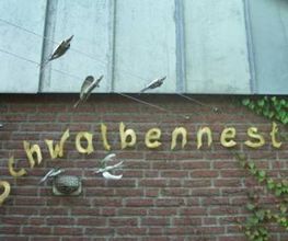 Schwalbennest (Kita) Bild 1