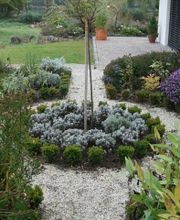 Roy Maikath Gartengestaltung Bild 8