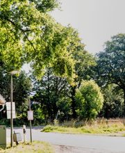 FriedWald Hasbruch Bild 10