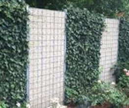 Herbert Bronder Gartengestaltung Bild 8