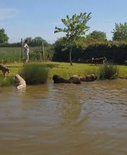 Le Domaine de Noisette image 3