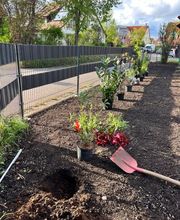 Grünlandpflege M.O Bild 2