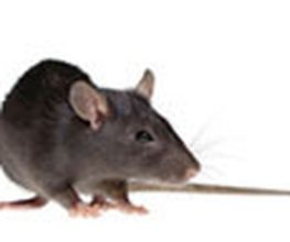 Ariba GmbH Bild 3