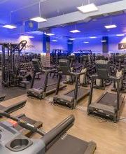 Gimnasio VivaGym Troya imagen 10