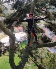 Jardins Arborés image 5