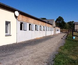 Centre Equestre De Sully image 7