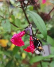 Bricomarché Orval image 13