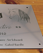 BW Gravure - 2cado image 3