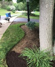 Shepherds View Landscaping & Tree Removal, LLC image 6