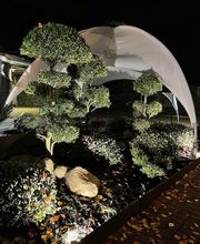 Blumen Kaiser Bild 9