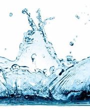 Association des Sourciers du Languedoc Roussillon image 1