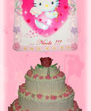 Gallery Cliente
