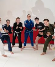 Nexus Fighter Academy