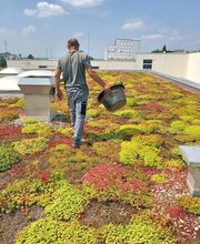AR-Dienste Garten- und Landschaftsbau Bild 6