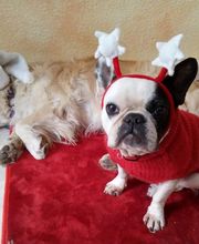 Le Salon des Stars image 16