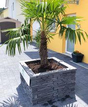 Zemp Gartenbau Bild 4